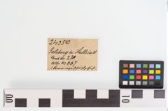 Etikett zu Bronzeschöpfgefäß (NHMW-PRAE-024350)